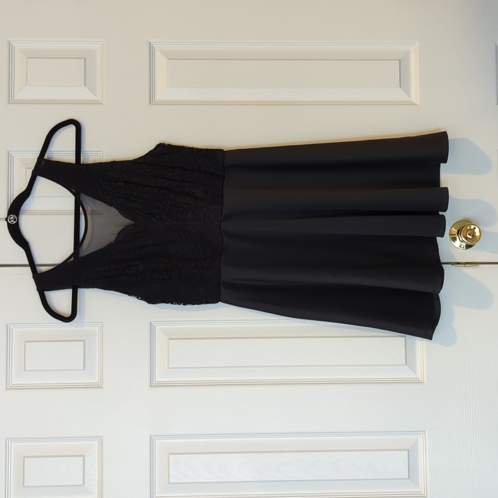 NWT Lace mesh mini dress